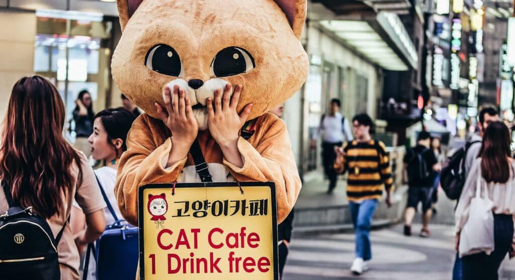 What Marketing Can Do For Your Restaurant